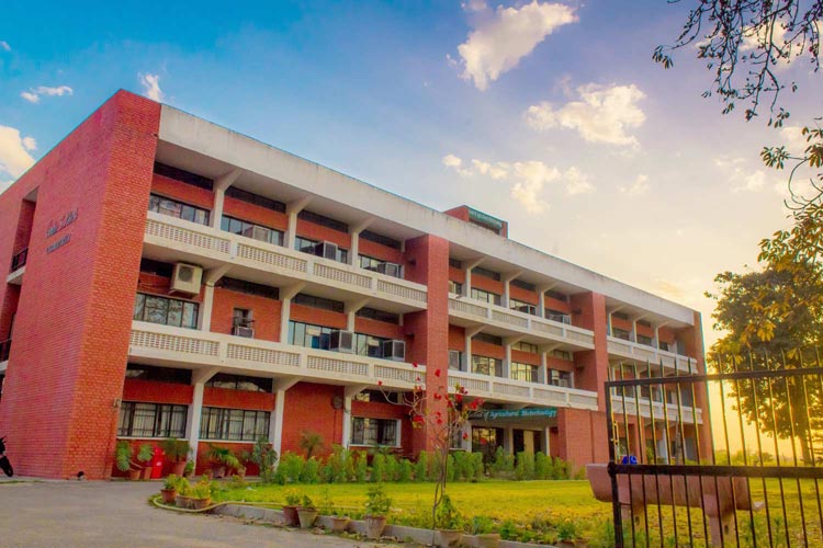 Punjab Agricultural University (Ludhiana)